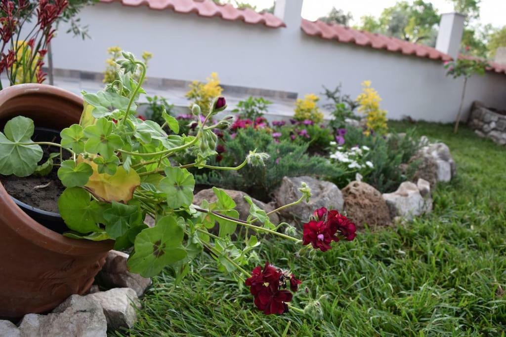 Tsafas Αpartments Apartamento Thásos Exterior foto
